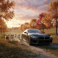 BMW Backyard and Dogs Puzzle